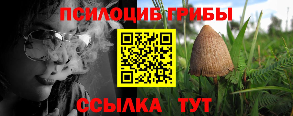 Галлюциногенные грибы Cubensis  Вход с VPN  Галлюциногенные грибы GOLDEN TEACHER  Сергиев Посад 